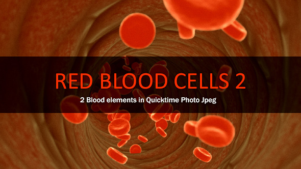 Red Blood Cells 2
