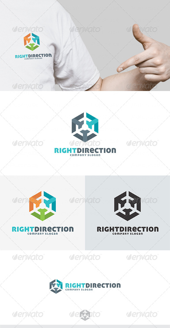 Right Direction Logo - Vector Abstract