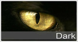 Dark