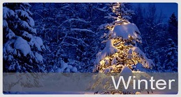 Christmas\Winter