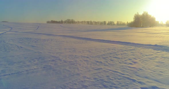 Aerial Drone View of Cold Winter Landscape with Arctic Field Trees Covered with Frost Snow and alt