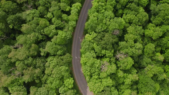 Aerial drone overhead flying over curvy rural road through bright, green forest in central Pennsylva alt