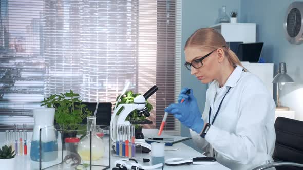 In Modern Research Laboratory: Female Scientist Using Pipette To Drop Sample on Slide alt