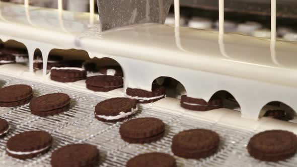 Cookies with Cocoa Chocolate Taste Brown alt