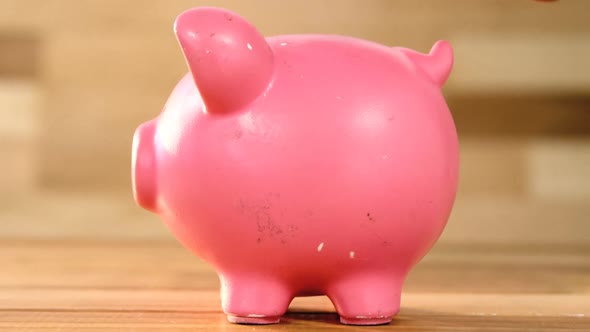 Woman putting coin in piggy bank alt