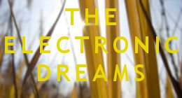 The Electronic Dreams
