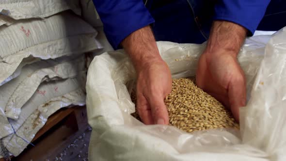 Brewer checking grains 4k alt