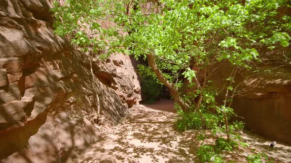 Hiking into dark slot canyon in Escalante alt