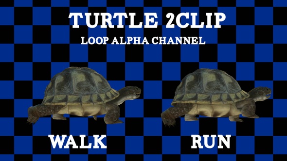 Turtle 2 Clip Loop