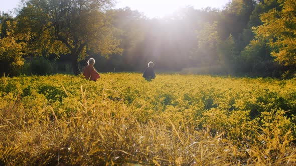 Two Little Toddler Boys Cosplay Gnomes or Hobbits in Long Capes in Green Forest. Halloween, Kids alt