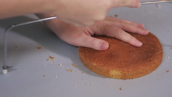 Pastry Chef Uses a Special Cutter to Cut the Baked Cake Into Even Layers alt