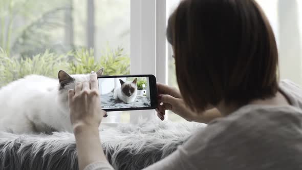 Woman shooting a video of her cute cat