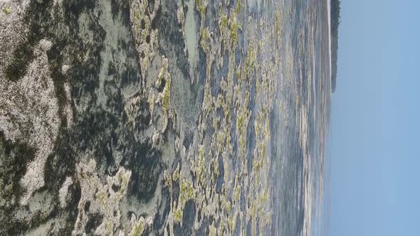 Vertical Video of Low Tide in the Ocean Near the Coast of Zanzibar Tanzania Aerial View alt