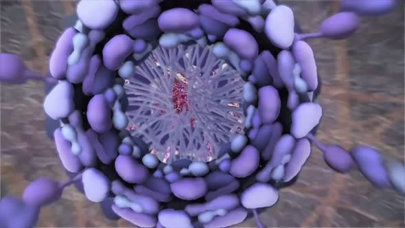 Chromosomes and dna working in our body alt