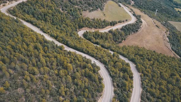 birds eye, fly over, treetop, aerial shot, forest trees, distance, air, sunny, 4k, birds eye view