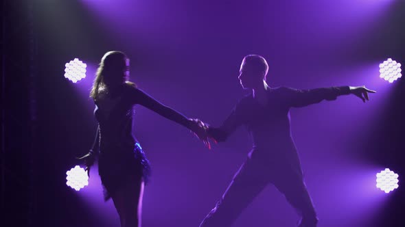 Professional Performance of Ballroom Dancers in the Latin American Dance Program alt