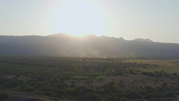 Sunset in the Savannah with Trees alt