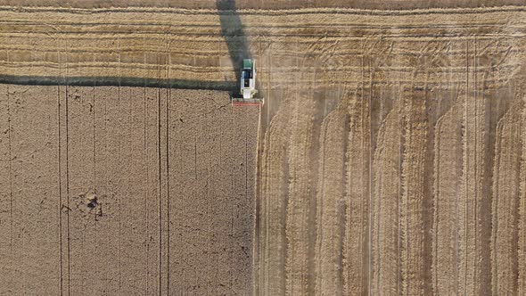 Combine Harvester In The Field