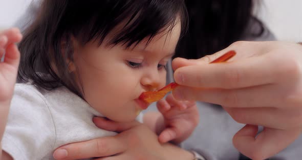 Parents Give Healthy Food to Baby Baby's First Food