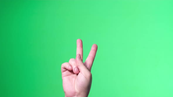 Sign Language on the Background of Chroma Key alt