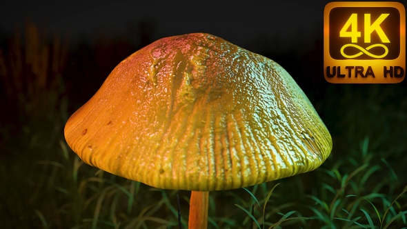Colorful Trippy Psychedelic Mushroom In The Forest Art Animation. New Age Hypnotizing 3d Visual alt