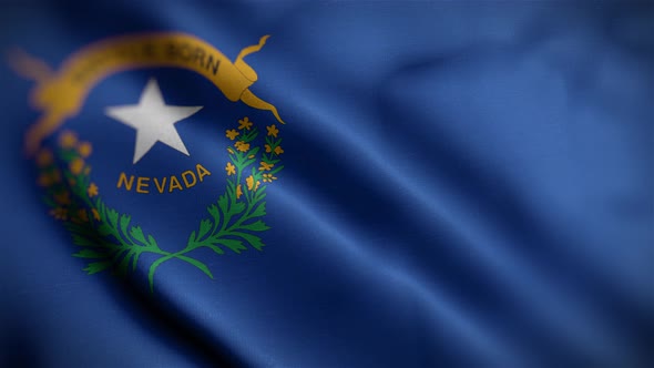 Nevada State Flag Angle