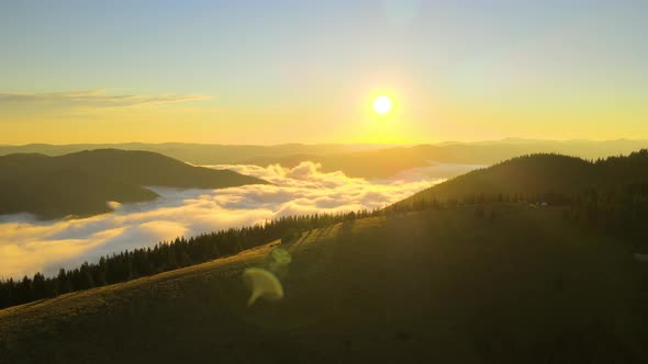 Aerial View of Amazing Scenery with Foggy Dark Mountain Peak Covered with Forest Pine Trees at alt