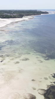 Vertical Video of Low Tide in the Ocean Near the Coast of Zanzibar Tanzania alt