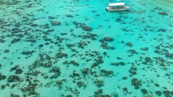 Aerial view of the lagoon of Moorea with the mountains in the background, Moorea, French Polynesia alt