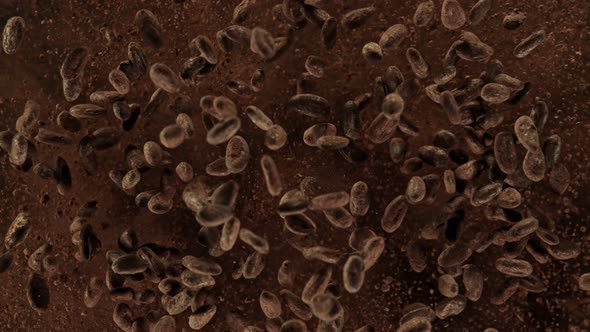 Super Slow Motion Shot of Exploding Raw Chocolate Beans and Cocoa Powder at 1000Fps. alt