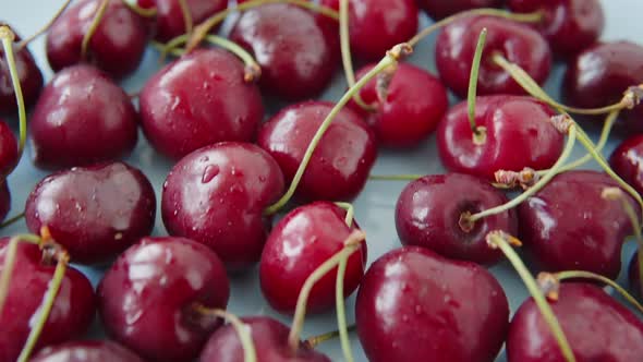 A Lot of Juicy Cherries Grown on an Organic Farm on a Blue Plate