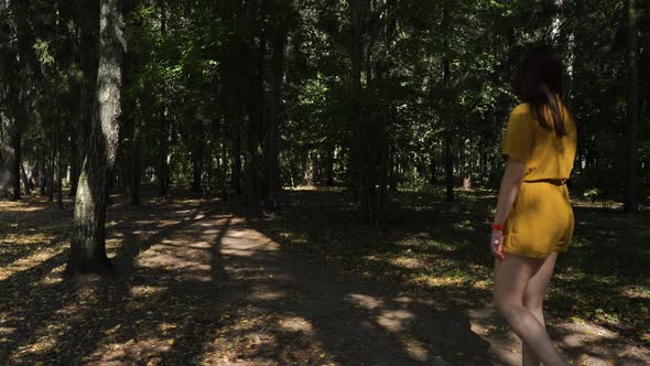 A Woman Walks Alone Through the Forest in the Park Along the Path. Back View