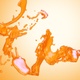 Orange Juice Splash V8 - VideoHive Item for Sale