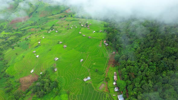 Drone is flying through clouds above rice terraces alt
