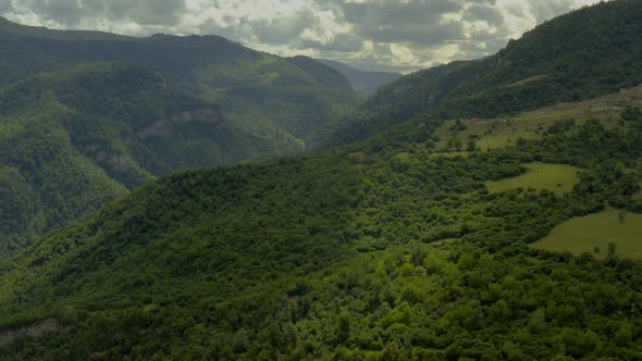 Beautiful natural scenery of tropical green forest with trees and mountain in background Drone Shot alt