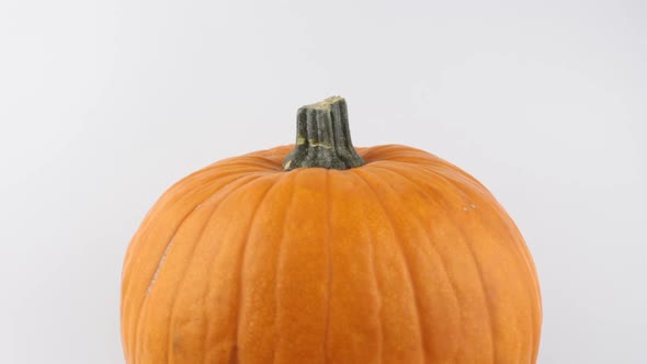Ripe Orange Pumpkin Rotates on a White Background