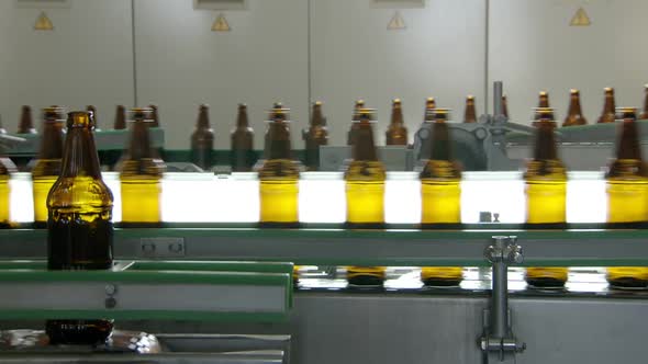Technological Line for Bottling of Beer in Brewery, Bottles Are Moving Against Lights