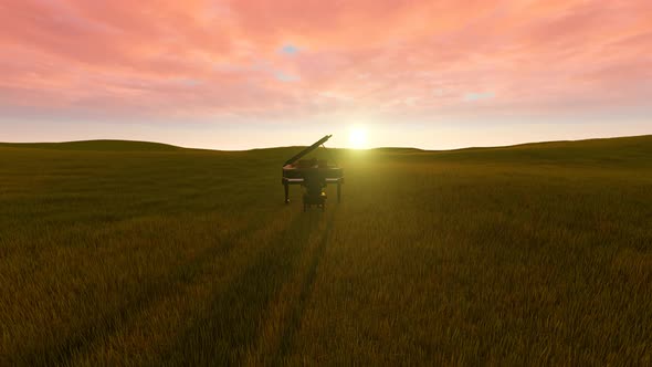 Piano On The Meadow alt