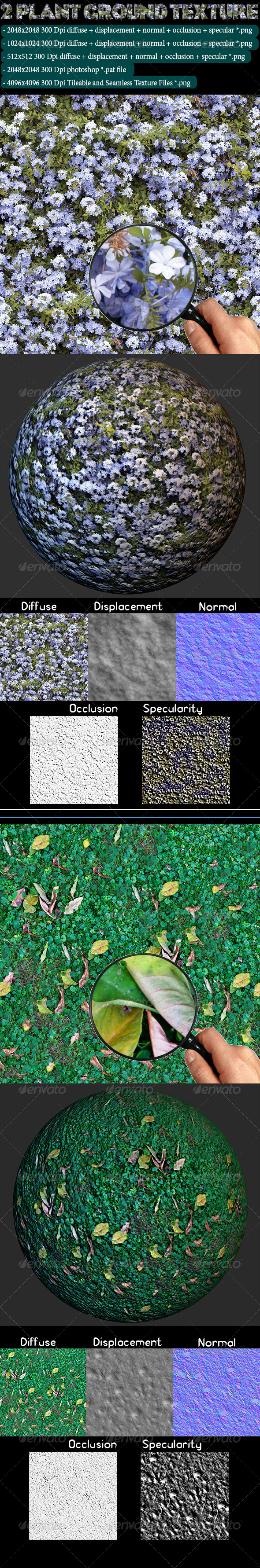 2 Plant Ground Texture - 3DOcean Item for Sale