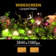 Widescreen Garden Branches Of Colorful Flowers Magic 05 - VideoHive Item for Sale