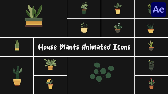 House Plants Animated Icons for After Effects Elements template preview