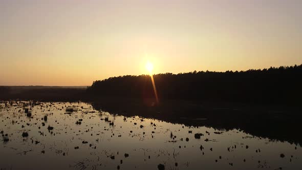 Above Wild Swamp On Sunset