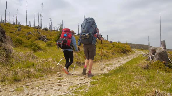 Hiking couple: two hikers (man and woman) walking together on the trail with backpacks