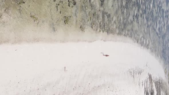 Vertical Video of a Coastal Landscape in Zanzibar Tanzania Aerial View alt