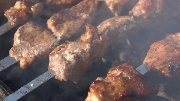 Appetizing Juicy Grilled Pork Shish Kebab Cooked on Charcoal Grill