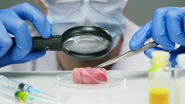 Medical Scientist Specialist Examining Meat with a Magnifying Glass and Tweezers in Modern Food alt