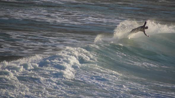 Surfing in the Atlantic Ocean Near Barrika Spain
