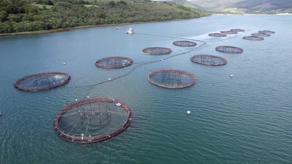 A Fish Farm in Scotland Providing Mariculture for Food Markets alt