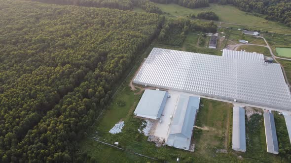 Agricultural Greenhouses