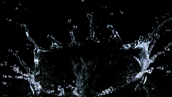Super Slow Motion Shot of Water Crown Splash at 1000Fps Isolated on Black Background alt
